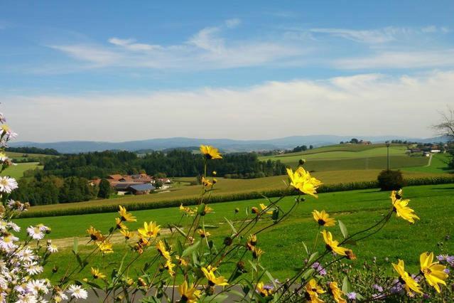 Ferienwohnung Im Bayerischen Wald Tittling Eksteriør bilde